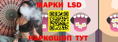 шишки Можайск