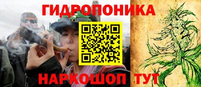 герыч Можга