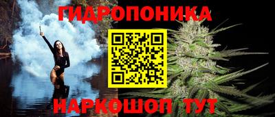 шишки Можайск