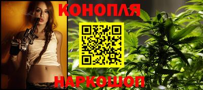 мяу мяу мука Нальчик