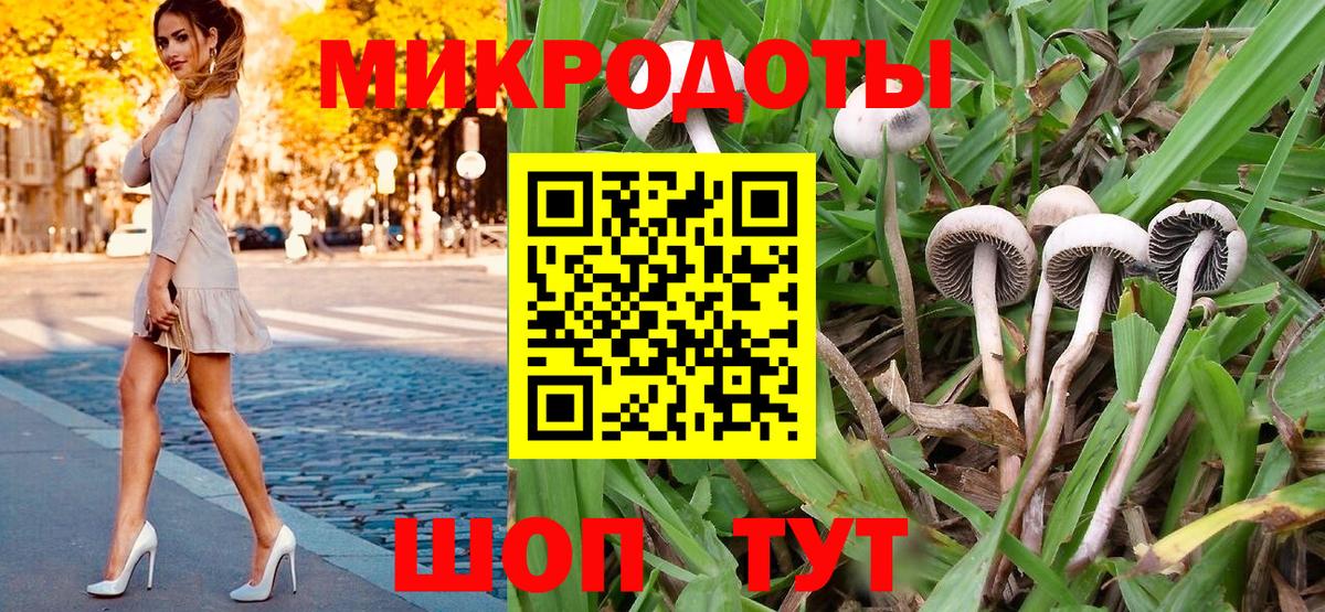 Чусовой  Галлюциногенные грибы Psilocybine cubensis  Вход с VPN 