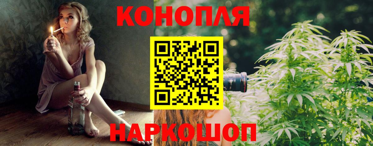 Бошки марихуана конопля  Вход с VPN  Канабис планчик  Шишки марихуана Amnesia  Чусовой 